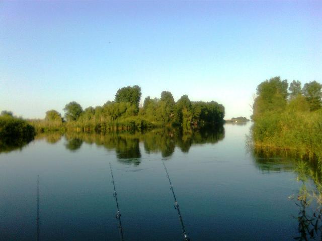 Doar ...  NATURA - imagine0014.jpg